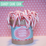 12 Weeks of Christmas, Candy Cane Can!