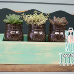 Succulent Plant Mason Jar Centerpiece  & Succulent Care!