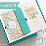New Consultant Kit Preview!